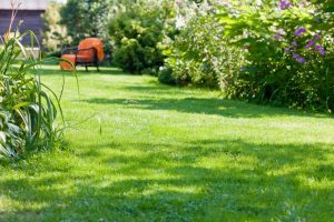 travaux jardin et paysage Philondenx